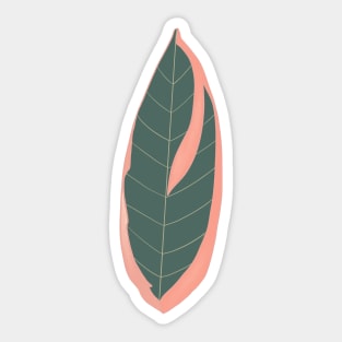 Stromanthe Triostar Leaf Sticker